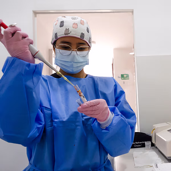 Hematología y química sanguínea