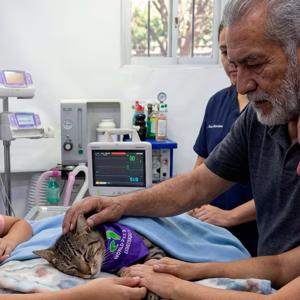 Acompañamiento en el Final de Vida