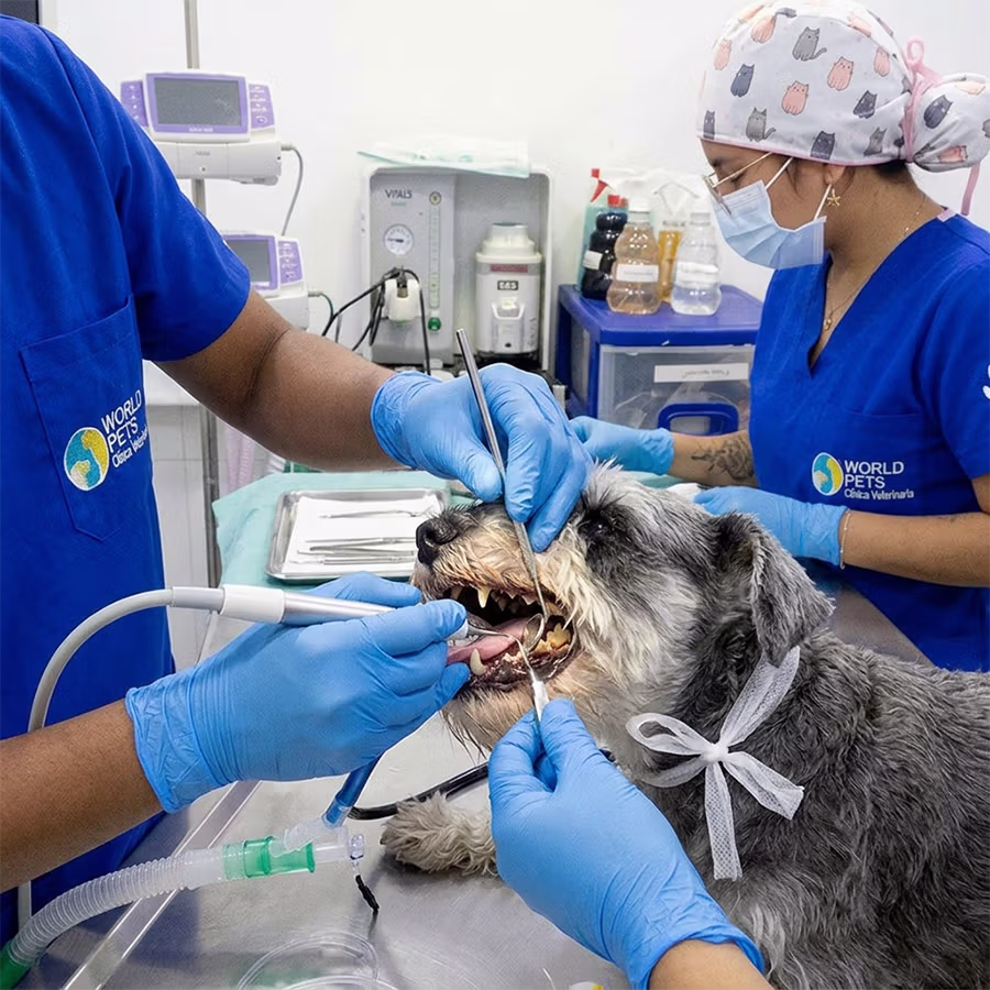 Tratamientos periodontales