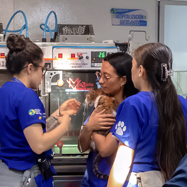Capacitaciones para Equipos Veterinarios