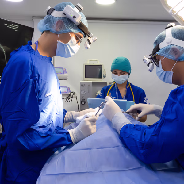 Práctica Profesional con Respaldo Hospitalario